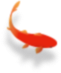 金魚